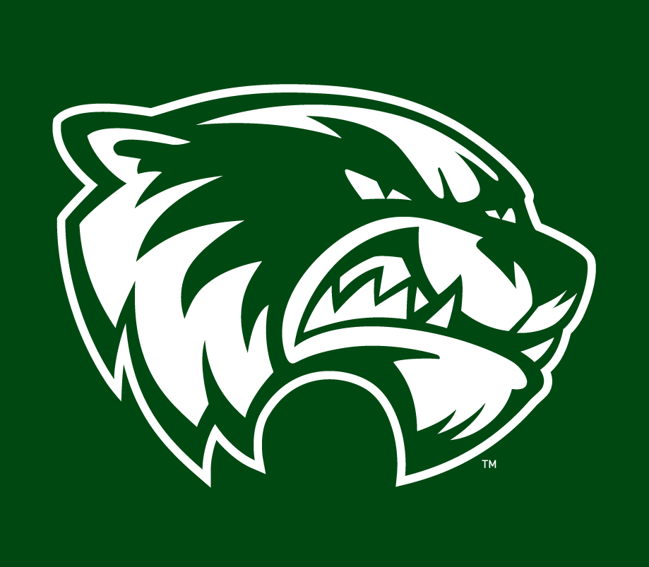 Utah Valley Wolverines 2012-Pres Alternate Logo v4 diy iron on heat transfer